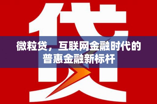 漠河微粒贷，互联网金融时代的普惠金融新标杆