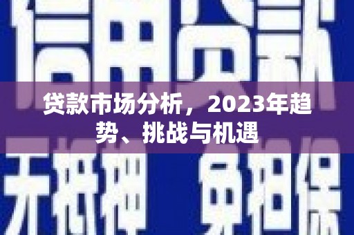 紫金贷款市场分析，2023年趋势、挑战与机遇