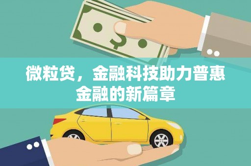 龙崎微粒贷，金融科技助力普惠金融的新篇章