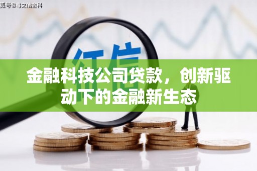 嘉禾金融科技公司贷款，创新驱动下的金融新生态