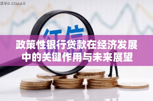 佳冬政策性银行贷款在经济发展中的关键作用与未来展望