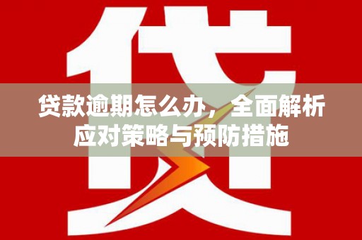 张湾贷款逾期怎么办，全面解析应对策略与预防措施