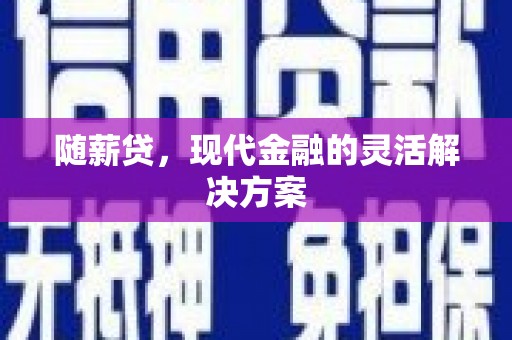 南平随薪贷，现代金融的灵活解决方案