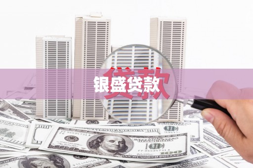 蔡甸银盛贷款