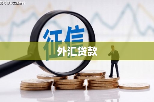 息县外汇贷款