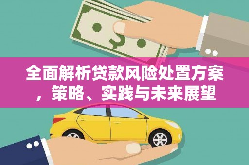 彰武全面解析贷款风险处置方案，策略、实践与未来展望