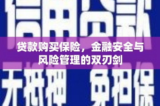 龙口贷款购买保险，金融安全与风险管理的双刃剑