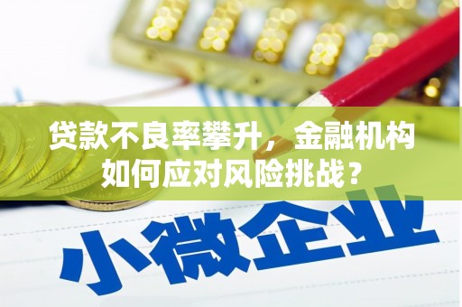 宜黄贷款不良率攀升，金融机构如何应对风险挑战？