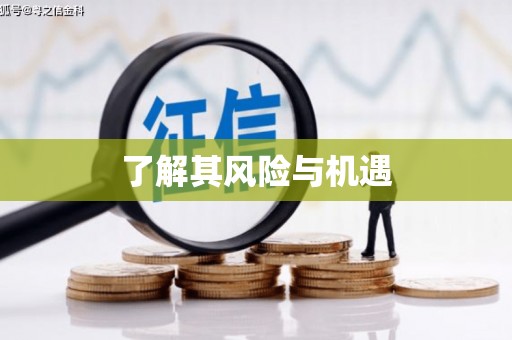 武义县了解其风险与机遇