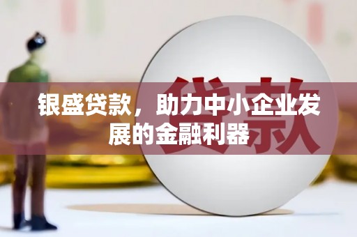 沙坪坝银盛贷款，助力中小企业发展的金融利器