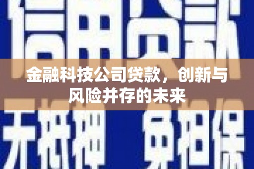 右江金融科技公司贷款，创新与风险并存的未来