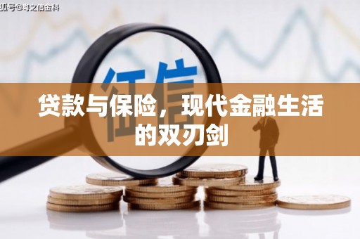 东西湖贷款与保险，现代金融生活的双刃剑