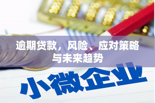 抚州逾期贷款，风险、应对策略与未来趋势