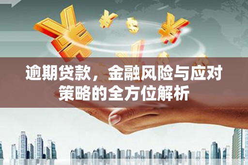 盐湖逾期贷款，金融风险与应对策略的全方位解析