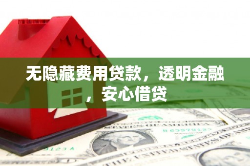 平南无隐藏费用贷款，透明金融，安心借贷
