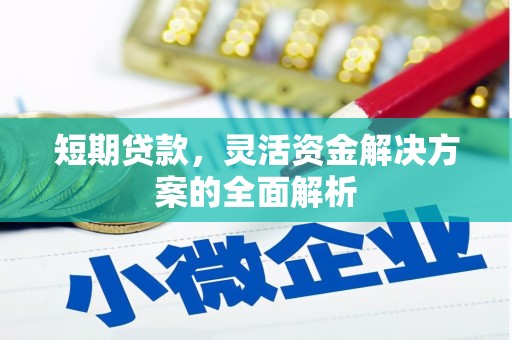 莿桐短期贷款，灵活资金解决方案的全面解析