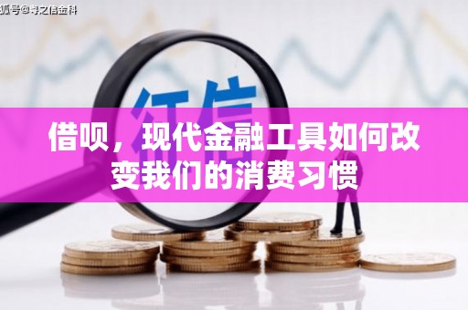 蒲城借呗，现代金融工具如何改变我们的消费习惯