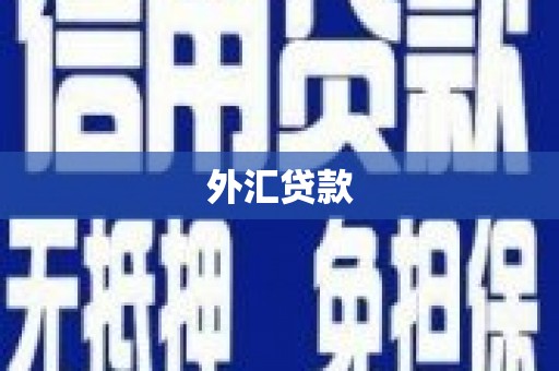 宣州外汇贷款