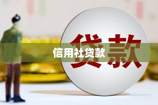 埔心信用社贷款