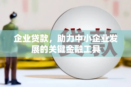 九龙企业贷款，助力中小企业发展的关键金融工具