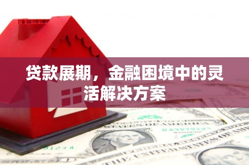 新北贷款展期，金融困境中的灵活解决方案