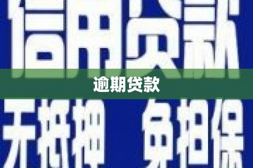 社旗逾期贷款