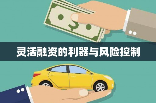 林边灵活融资的利器与风险控制