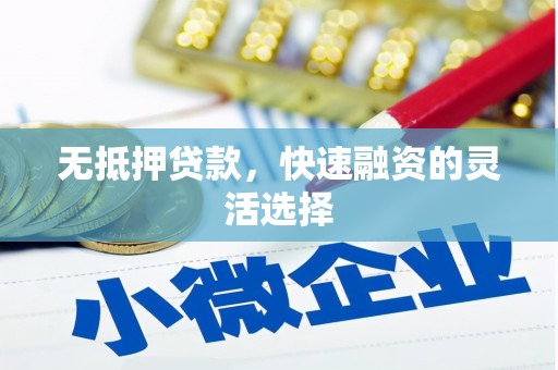 廉江无抵押贷款，快速融资的灵活选择