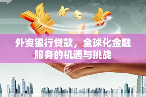 阳春外资银行贷款，全球化金融服务的机遇与挑战