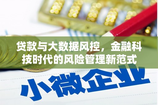 光明新区贷款与大数据风控，金融科技时代的风险管理新范式