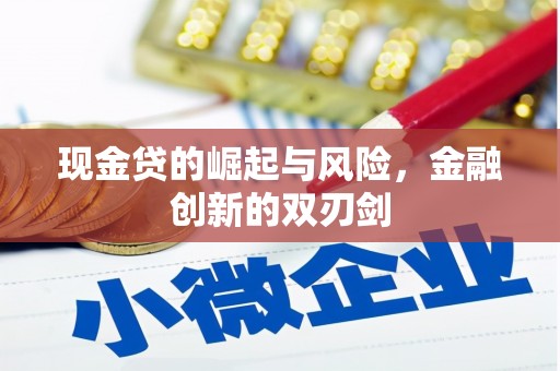 嵩县现金贷的崛起与风险，金融创新的双刃剑