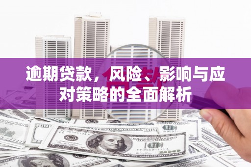 苓雅逾期贷款，风险、影响与应对策略的全面解析