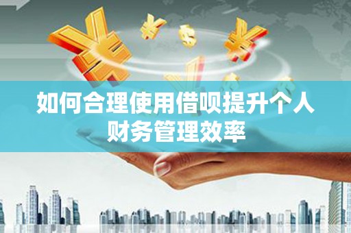 沈河如何合理使用借呗提升个人财务管理效率