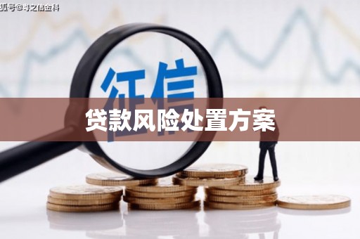 恒春贷款风险处置方案