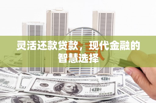 海原灵活还款贷款，现代金融的智慧选择