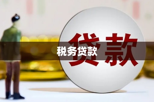 延平税务贷款