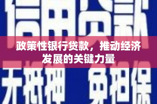 旅顺口政策性银行贷款，推动经济发展的关键力量