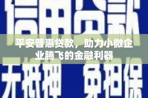 蔡甸平安普惠贷款，助力小微企业腾飞的金融利器