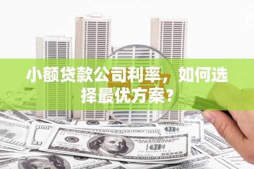 沿河小额贷款公司利率，如何选择最优方案？