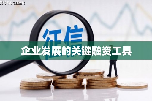 师宗企业发展的关键融资工具