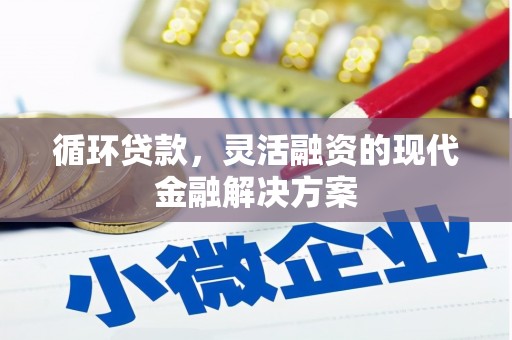 始兴循环贷款，灵活融资的现代金融解决方案