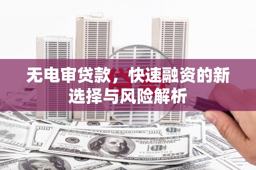 镇巴无电审贷款，快速融资的新选择与风险解析