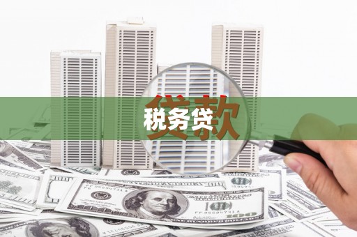 昭苏税务贷