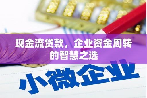 甘洛现金流贷款，企业资金周转的智慧之选