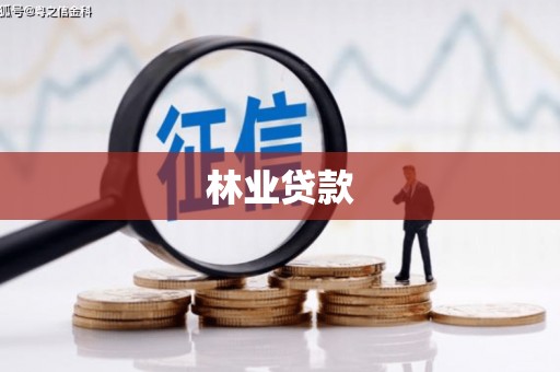 云龙林业贷款