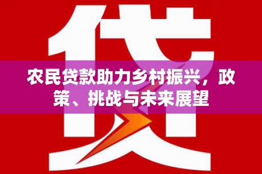 海安农民贷款助力乡村振兴，政策、挑战与未来展望