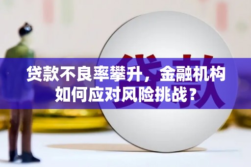 埔心贷款不良率攀升，金融机构如何应对风险挑战？