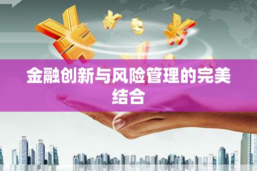 柳营金融创新与风险管理的完美结合