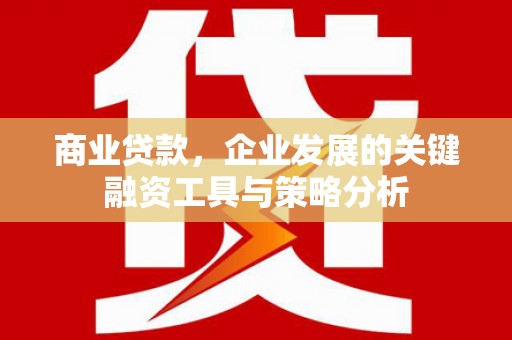 布拖商业贷款，企业发展的关键融资工具与策略分析