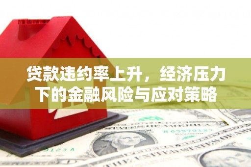 水上贷款违约率上升，经济压力下的金融风险与应对策略